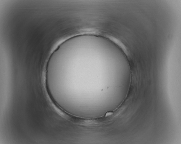 X0000111951383200908101213