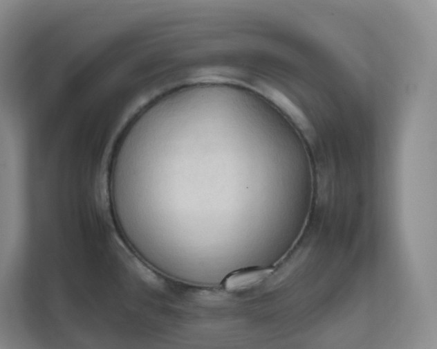 X0000111951384200908101213