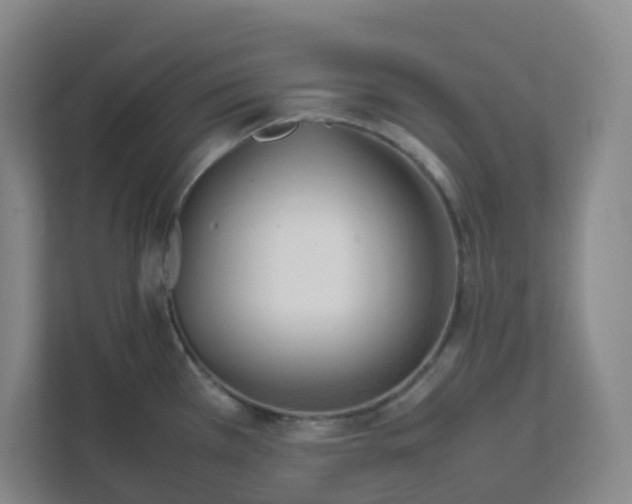 X0000111951385200908101213