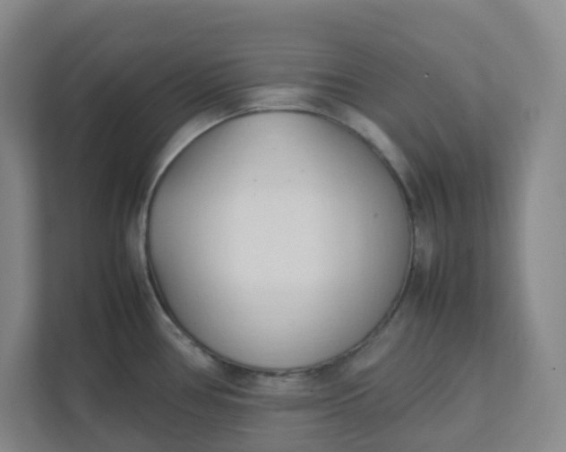X0000111951386200908101213