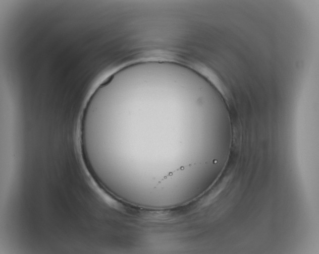 X0000111951387200908101213