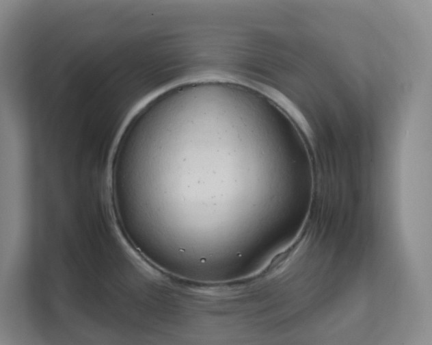 X0000111951388200908101213
