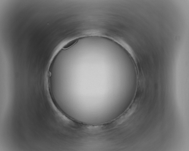 X0000111951389200908101213