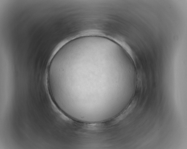 X0000111951390200908101213