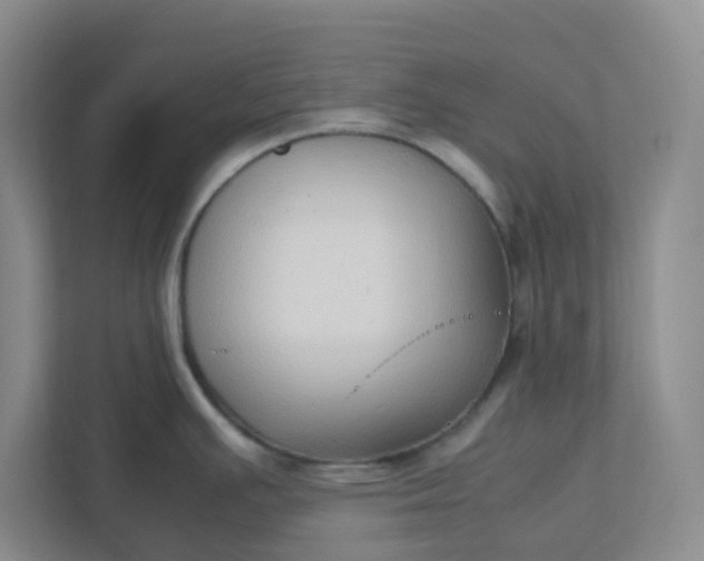 X0000111951391200908101213