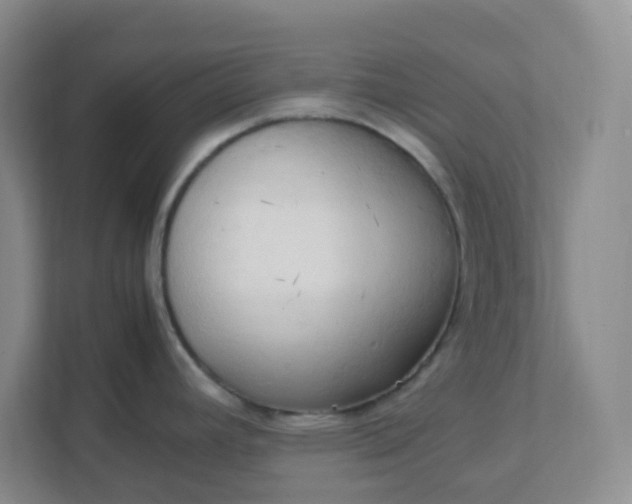 X0000111951392200908101213