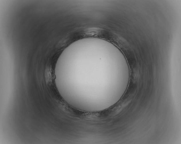 X0000111951394200908101213