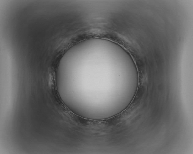 X0000111951397200908101213