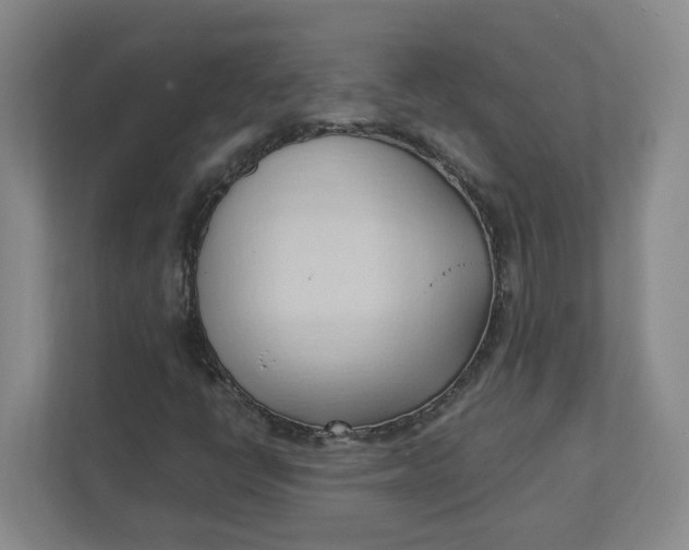 X0000111951398200908101213