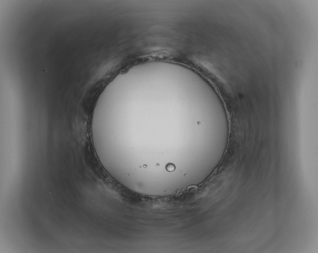 X0000111951399200908101213