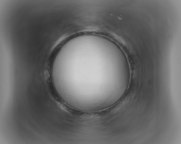 X0000111951400200908101213