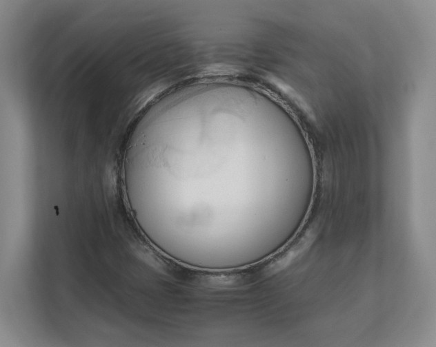 X0000111951401200908101213