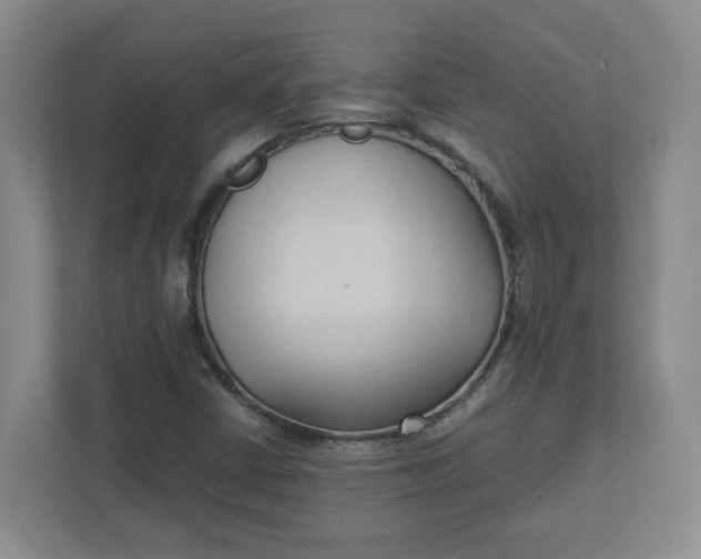 X0000111951402200908101213