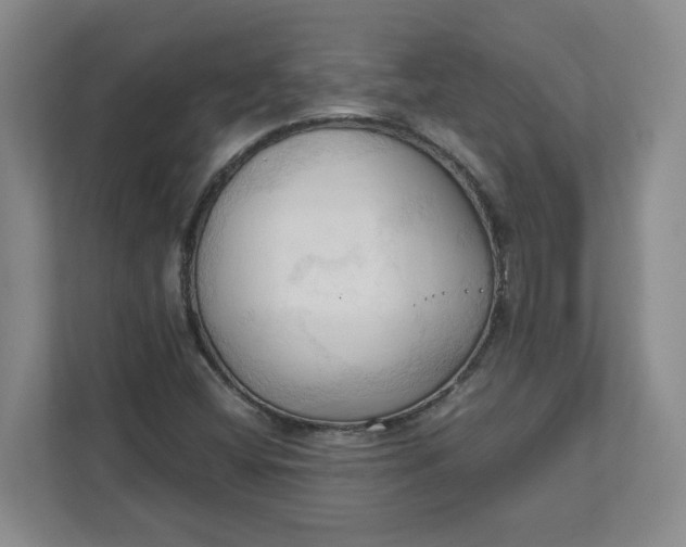 X0000111951404200908101213