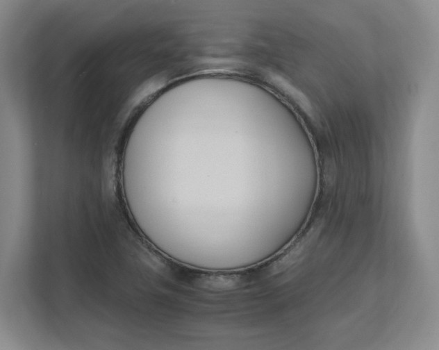 X0000111951411200908101213