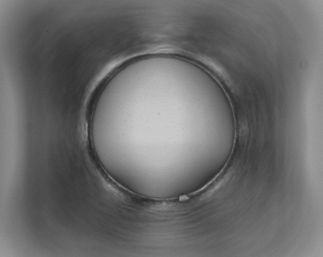 X0000111951414200908101213