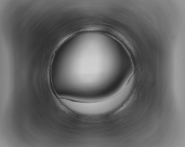 X0000111951417200908101213