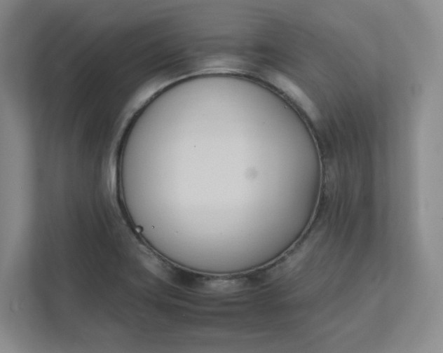 X0000111951419200908101213