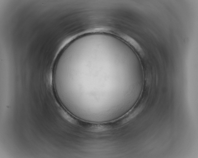 X0000111951420200908101213