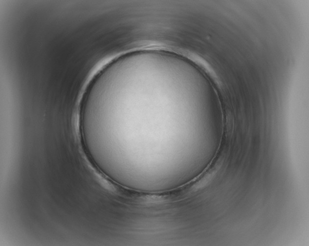 X0000111951424200908101213