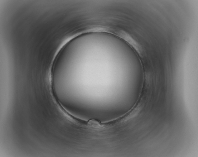 X0000111951428200908101213