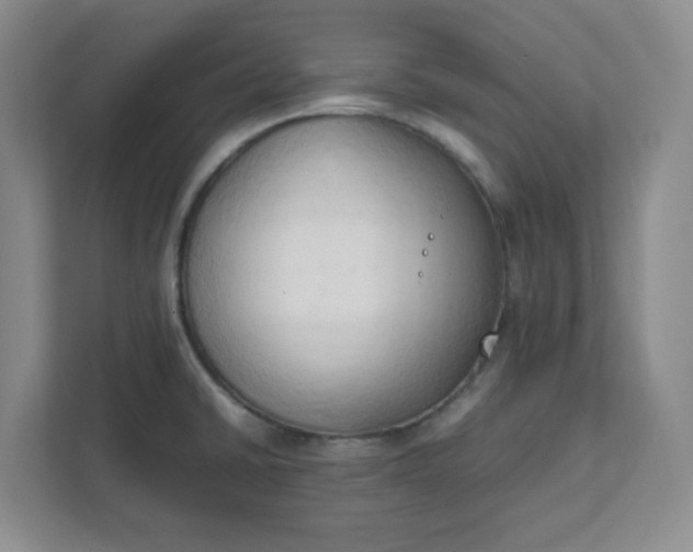 X0000111951430200908101213