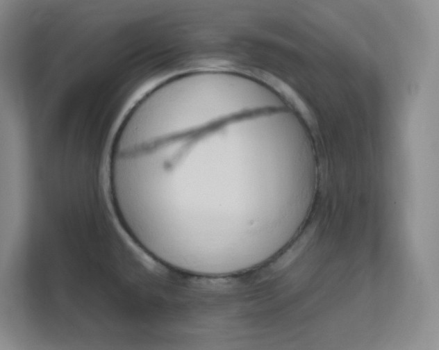 X0000111951432200908101213