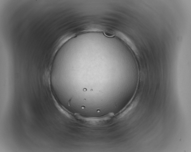 X0000111951433200908101213