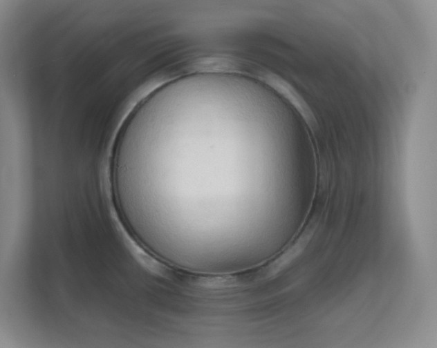 X0000111951434200908101213
