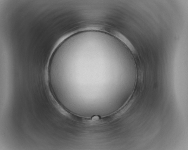 X0000111951436200908101213