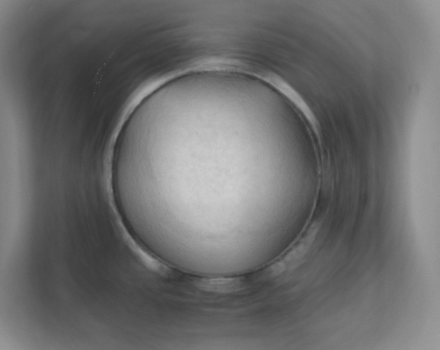 X0000111951437200908101213