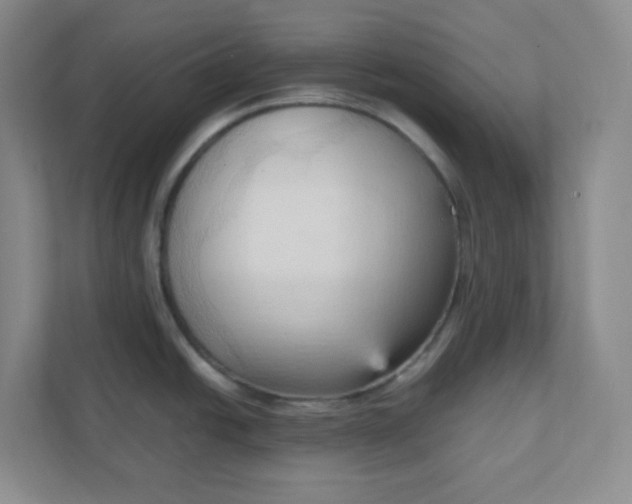 X0000111951438200908101213