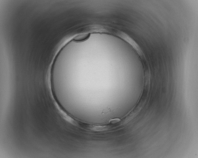 X0000111951439200908101213