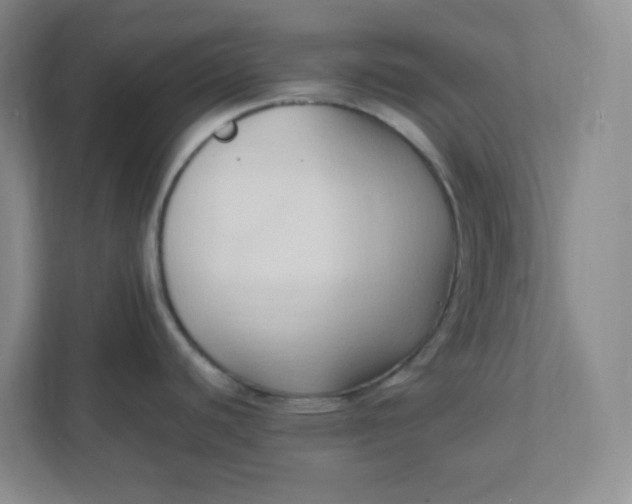 X0000111951440200908101213