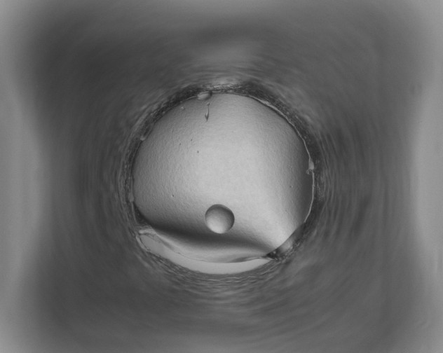 X0000111951441200908101213