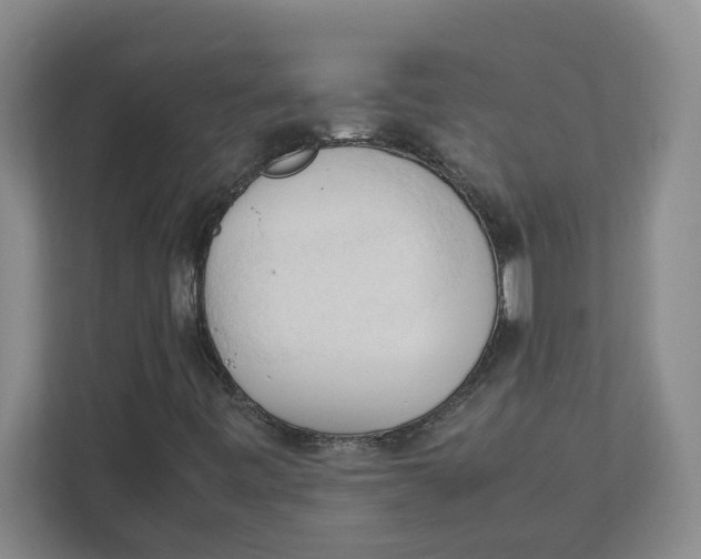 X0000111951443200908101213