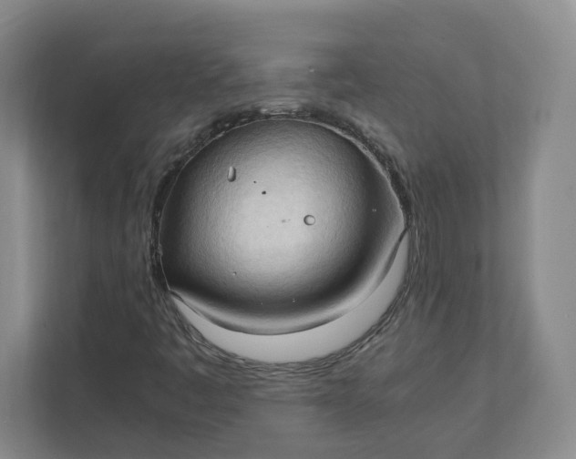 X0000111951445200908101213