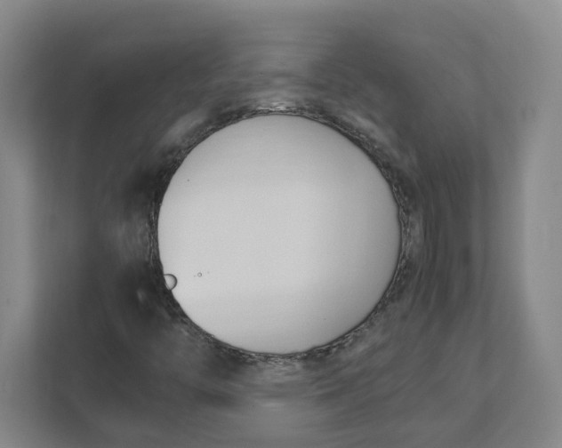 X0000111951446200908101213