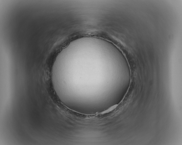 X0000111951447200908101213