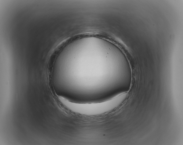 X0000111951448200908101213