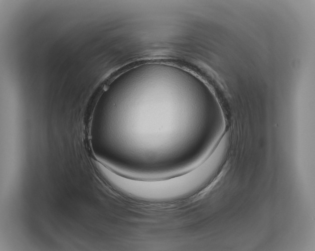X0000111951449200908101213