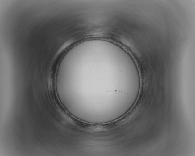 X0000111951450200908101213