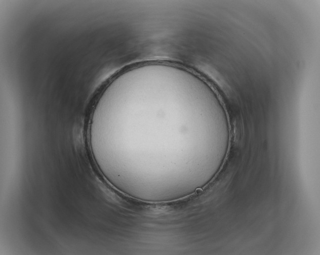 X0000111951452200908101213