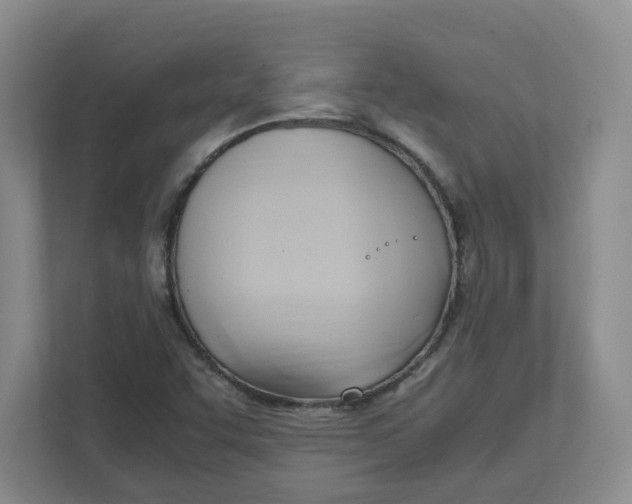 X0000111951455200908101213