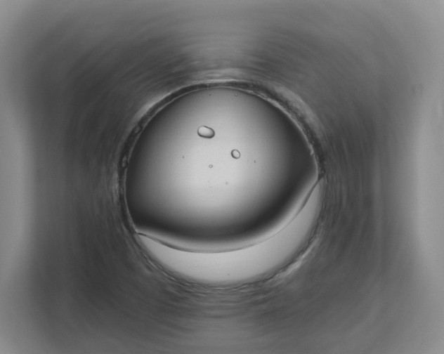 X0000111951457200908101213