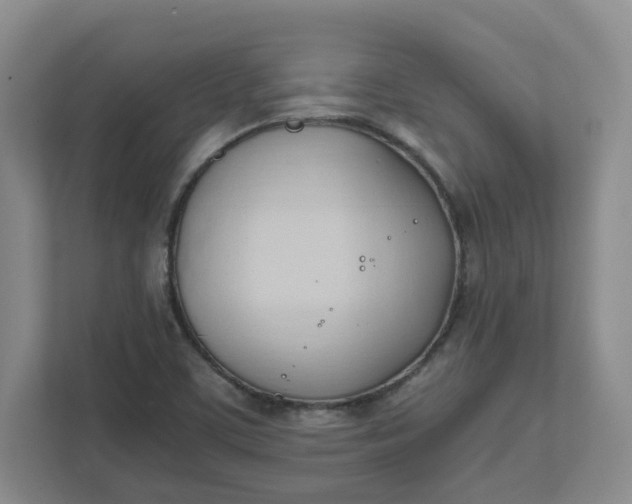 X0000111951459200908101213