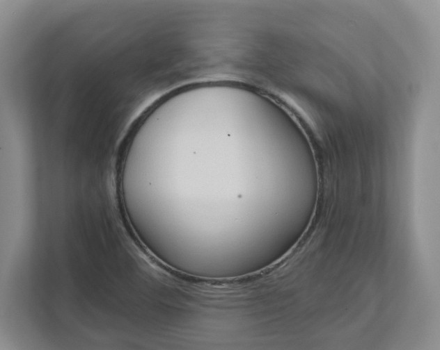 X0000111951460200908101212
