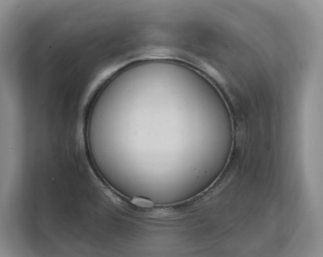X0000111951464200908101212