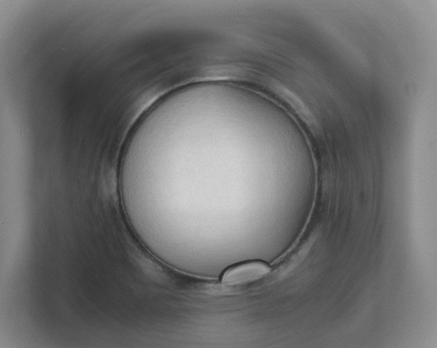 X0000111951465200908101212