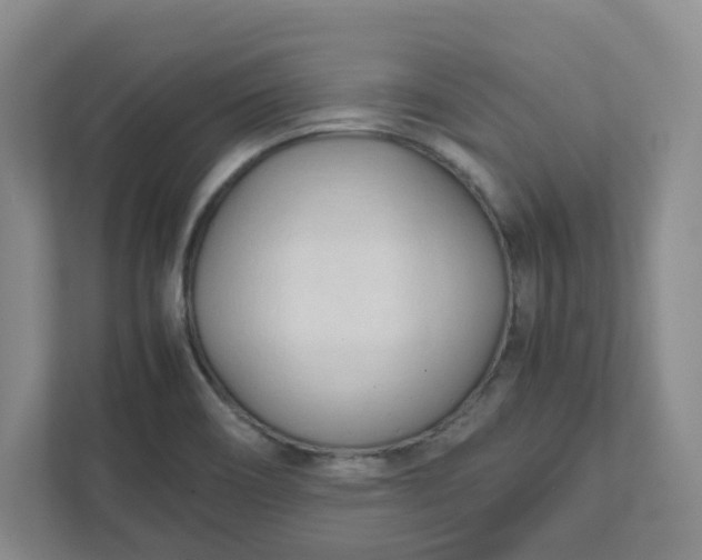 X0000111951466200908101212